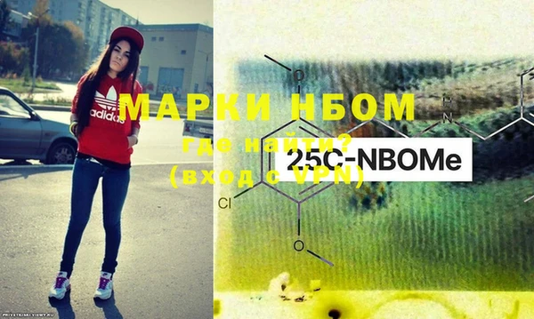 индика Краснослободск