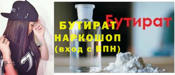 индика Краснослободск