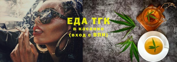 индика Краснослободск