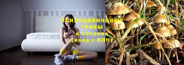 кокаин Болотное