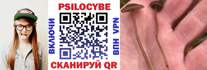 купить наркоту Кыштым Псилоцибиновые грибы Cubensis