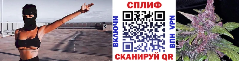 blacksprut tor  купить наркотики цена  Кыштым  Марихуана тримм 
